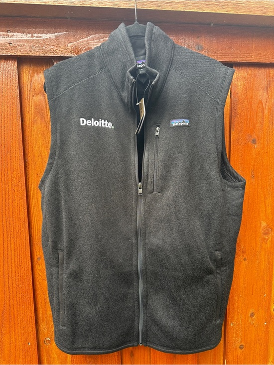 Patagonia Other - Patagonia better sweater vest